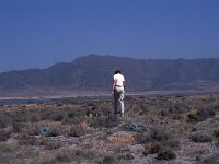 E, Almeria, Nijar, Salinas de Cabo de Gata 3, Saxifraga-Jan van der Straaten
