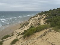 E, Cadiz, Barbate 6, Saxifraga-Willem van Kruijsbergen