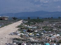 GR, Aetolia-Acarnania, Mesolonghi 1, Saxifraga-Jan van der Straaten