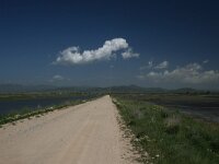 GR, Evros, Alexandroupolis, Evros Delta 65, Saxifraga-Dirk Hilbers