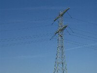 NL, Noord-Brabant, Bergen op Zoom, Zoommeer 7, Saxifraga-Jan van der Straaten