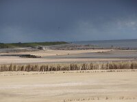 NL, Noord-Holland, Texel, Prins Hendrik polder 1, Saxifraga-Foto Fitis-Sytske Dijksen