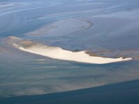 NL, Noord-Holland, Texel, Steenplaat 1, Saxifraga-Foto Fitis-Sytske Dijksen