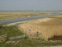 NL, Zuid-Holland, Goeree-Overflakkee, De Vingerling 5, Saxifraga-Jan van der Straaten