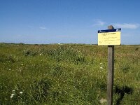 NL, Zuid-Holland, Goeree-Overflakkee, Kwade Hoek 16, Saxifraga-Willem van Kruijsbergen