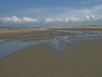 NL, Zuid-Holland, Goeree-Overflakkee, Kwade Hoek 38, Saxifraga-Willem van Kruijsbergen