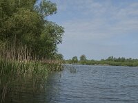 NL, Noord-Brabant, Altena, Ruigt 1, Saxifraga-Jan van der Straaten