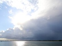 NL, Zuid-Holland, Voorne aan Zee, Westvoorne, Oostvoornse Meer 2, Saxifraga-Bart Vastenhouw