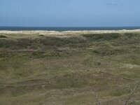 NL, Noord-Holland, Texel, Bertusnol 8, Saxifraga-Willem van Kruijsbergen