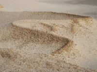 NL, Noord-Holland, Texel, De Hors 115, Saxifraga-Foto Fitis-Sytske Dijksen