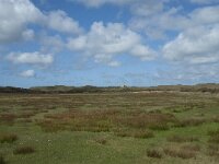 NL, Noord-Holland, Texel, De Muy 8, Saxifraga-Willem van Kruijsbergen