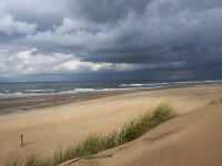 NL, Noord-Holland, Texel, Paal 10 6, Saxifraga-Foto Fitis-Sytske Dijksen