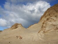 NL, Noord-Holland, Texel, Paal 8 26, Saxifraga-Foto Fitis-Sytske Dijksen