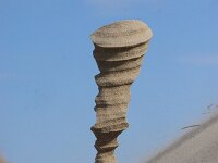 NL, Noord-Holland, Texel, Paal 9 68, Saxifraga-Foto Fitis-Sytske Dijksen