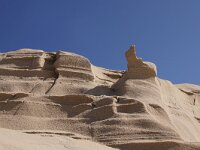 NL, Noord-Holland, Texel, Paal 9 71, Saxifraga-Foto Fitis-Sytske Dijksen