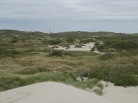 NL, Zeeland, Schouwen-Duiveland, Westenschouwen 1, Saxifraga-Willem van Kruijsbergen