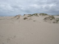 NL, Zuid-Holland, Westland, Monster 23, Saxifraga-Willem van Kruijsbergen