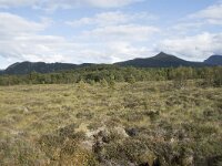 N, More og Romsdal, Fraena, Hustad 30, Saxifraga-Willem van Kruijsbergen