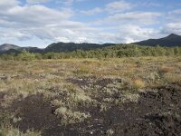 N, More og Romsdal, Fraena, Hustad 31, Saxifraga-Willem van Kruijsbergen