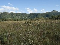 N, More og Romsdal, Fraena, Hustad 39, Saxifraga-Annemiek Bouwman