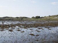 N, More og Romsdal, Fraena, Krakholmen 4, Saxifraga-Willem van Kruijsbergen