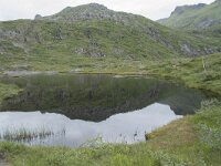 N, Nordland, Vagan, Djeveldalen 13, Saxifraga-Willem van Kruijsbergen