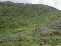 N, Nordland, Vagan, Djeveldalen 20, Saxifraga-Willem van Kruijsbergen