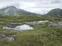N, Nordland, Vagan, Djeveldalen 25, Saxifraga-Willem van Kruijsbergen