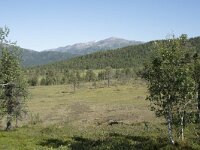 N, Troms, Senja, Anderdalen Nat Park 1, Saxifraga-Willem van Kruijsbergen