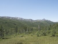 N, Troms, Senja, Anderdalen Nat Park 44, Saxifraga-Willem van Kruijsbergen