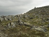 N, Innlandet, Sel, Karihaugen 16, Saxifraga-Willem van Kruijsbergen