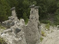 N, Innlandet, Sel, Kvitskriuprestene 5, Saxifraga-Willem van Kruijsbergen