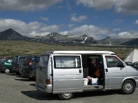 N, Innlandet, Sel, Mysuseter 22, Saxifraga-Jan van der Straaten