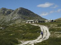 N, Innlandet, Sel, Peer Gynt Hytta 21, Saxifraga-Jan van der Straaten