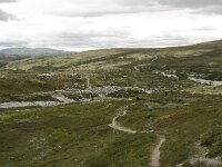 N, Innlandet, Sel, Peer Gynt Hytta 29, Saxifraga-Willem van Kruijsbergen