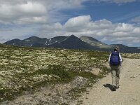 N, Innlandet, Sel, Peer Gynt Hytta 4, Saxifraga-Jan van der Straaten