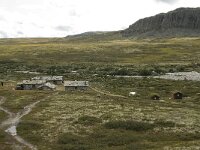 N, Innlandet, Sel, Peer Gynt Hytta 40, Saxifraga-Willem van Kruijsbergen