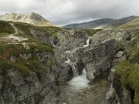 N, Innlandet, Sel, Peer Gynt Hytta 50, Saxifraga-Willem van Kruijsbergen