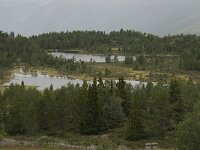 N, Innlandet, Sel, Raphamntjonne 1, Saxifraga-Willem van Kruijsbergen