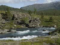N, Innlandet, Vaga, Besstrond 1, Saxifraga-Jan van der Straaten
