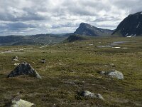 N, Innlandet, Vaga, Bygdin 7, Saxifraga-Jan van der Straaten