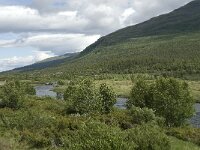 N, Innlandet, Vaga, Russtangen 1, Saxifraga-Jan van der Straaten