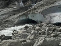 N, Sogn og Fjordane, Luster, Bergsetbreen 18, Saxifraga-Willem van Kruijsbergen