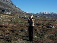 N, Sogn og Fjordane, Stryn, Videdalen 2, Saxifraga-Jan van der Straaten