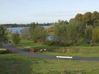 NL, Noord-Brabant, 's-Hertogenbosch, De Pettelaar 2, Saxifraga-Jan van der Straaten