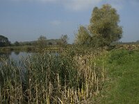 NL, Noord-Brabant, Altena, Pompveld 19, Saxifraga-Jan van der Straaten