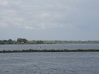 NL, Noord-Brabant, Drimmelen, Gat van Den Binnennieuwensteek 1, Saxifraga-Willem van Kruijsbergen