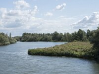 NL, Noord-Brabant, Drimmelen, Gat van Van Kampen 14, Saxifraga-Willem van Kruijsbergen