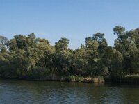 NL, Noord-Brabant, Drimmelen, Middelste Gat van het Zand 17, Saxifraga-Jan van der Straaten