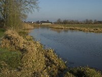 NL, Noord-Brabant, Land van Cuijk, Graafsche Raam 1, Saxifraga-Jan van der Straaten